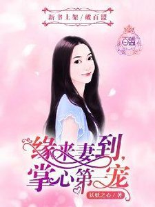 缘来妻到,掌心第一宠